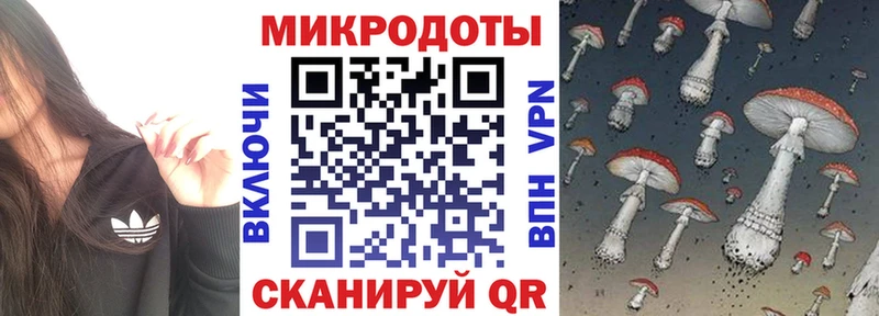 darknet Telegram  Трубчевск  Псилоцибиновые грибы мицелий 